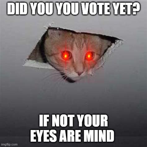 Vote Cat Imgflip