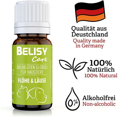 belisy läuse and flöhe bachblüten globuli für hunde and katzen 10g