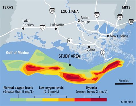 This Years Dead Zone In The Gulf Is The 3rd Smallest Yet We Have