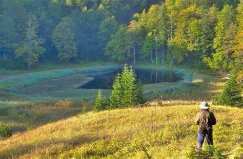 The Sutjeska national park is also famous as being the location of the