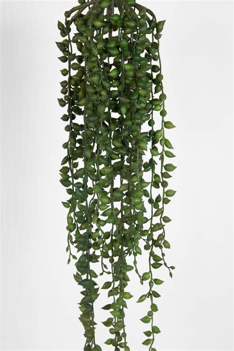 Senecio Hänger 55cm 90cm Ga Kunstpflanzen Künstliche Pflanzen