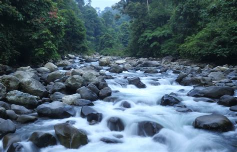 Gejala Alam Bentuk Alam Gunung Sungai Iklim Di Indonesia Dan Negara