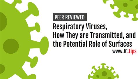 Respiratory Viruses How They Are Transmitted And The Potential Role