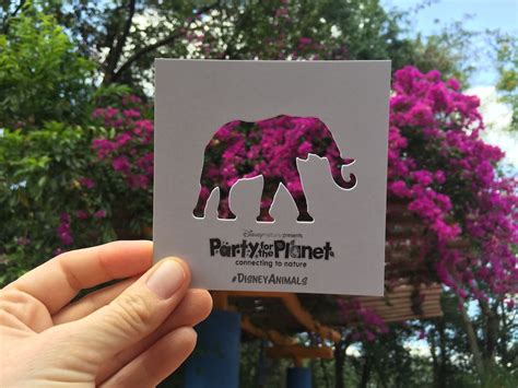 Wildlife Wednesday Disneynature Presents Party For The Planet At
