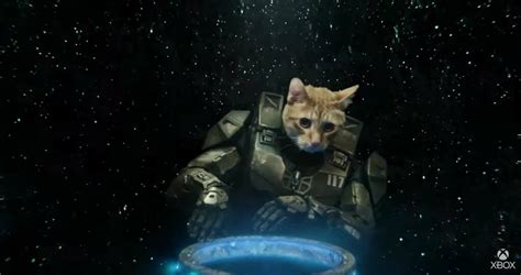 Taika Waititi Directed Xbox Series X Ad Turns Master Chief Into A Cat