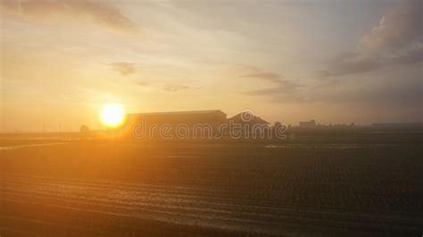 Beautiful Misty Morning Landscape Around Rice Paddy Field In Sekinchan