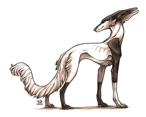 Bailiwick Hound By Canisalbus On Deviantart Werewolf Art Cool Sketches Black And White Sketches