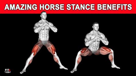 5 Horse Stance Benefits That Will Surprise You Youtube