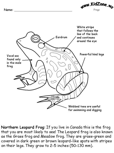 Frog Labeled