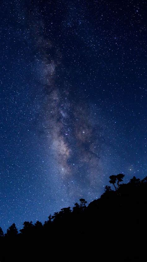 Download Wallpaper 720x1280 Milky Way Starry Sky Trees Samsung Galaxy
