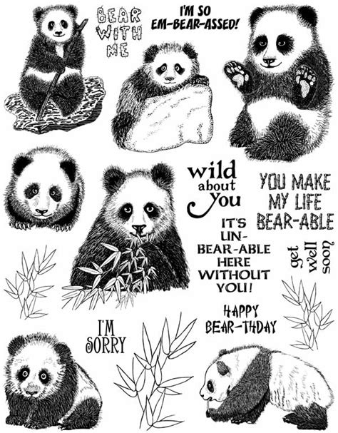 Panda Bear Funny Quotes Quotesgram