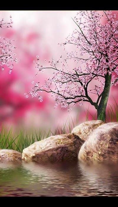 Most Beautiful Nature Wallpaper 2015 For Android User