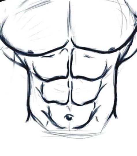 How To Draw Abs How To Draw Muscles Drawing Muscles Easy Drawings Sketches Pencil Drawings