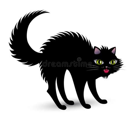 Scary Black Cat Stock Illustration Illustration Of Fearful 16958413