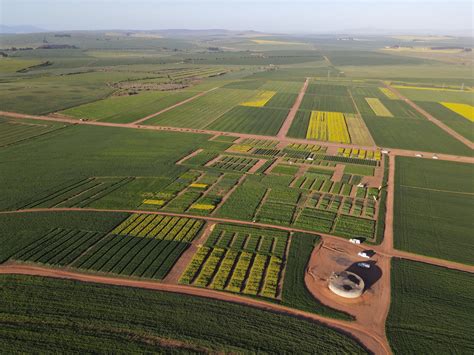 Langgewens Research Farm Western Cape Department Of Agriculture