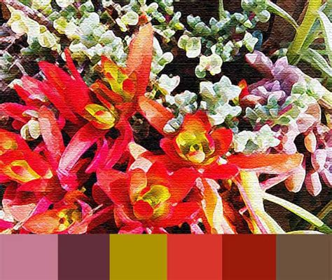Drought Resistant Color Palette Kate Pitner Designs