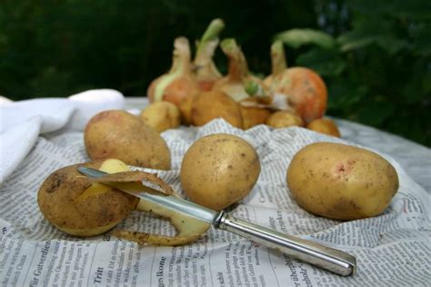 Comment éplucher Une Pomme De Terre En Quelques Secondes