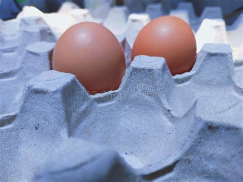 Egg Nutrients Rich In Protein Stock Photo Image Of Protein Rich