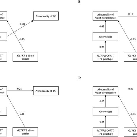 Figure3structural Equation Modeling Diagrams Among The Schizophrenia