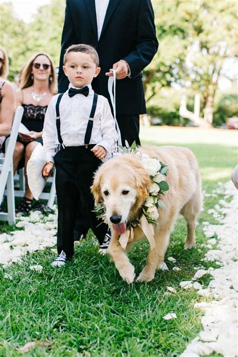 Dogs At Weddings Golden Retriever Cream Floral Pet Wreath Ring