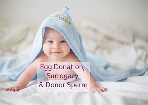 Best Guide To Egg Donation In Georgia Surrogacy Via Egg Or Sperm Donors Cost In 2023