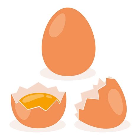 Premium Vector Illustration Of Isolated Chicken Eggs