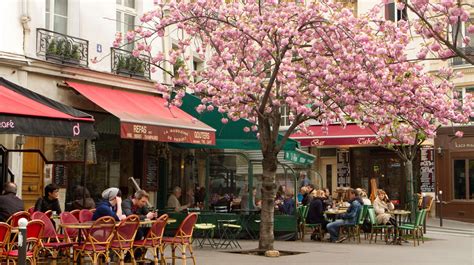 The 10 Best Restaurants In Paris