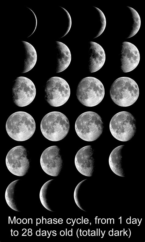 Moon Phases Model Ingridscienceca