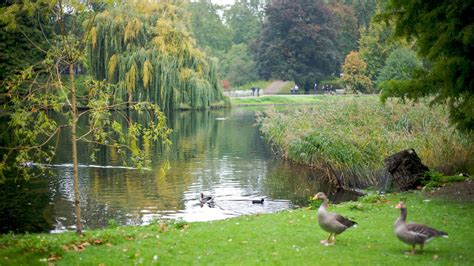 Buckingham palace, palace of westminster and st. St. James Park - London, England Attraction | Expedia.com.au