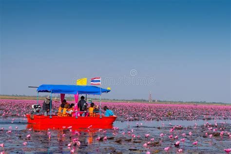 Lake Nong Harn Thailand Editorial Stock Photo Image Of Thani 49302528