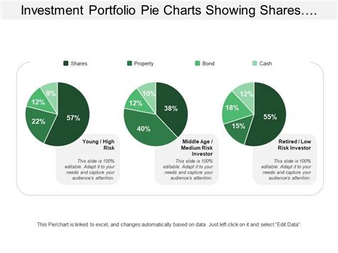 Investment Portfolio Pie Charts Showing Shares Property Bond Cash Risk