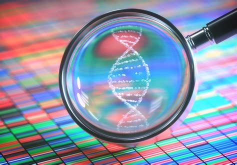 Untangling The Web Of Home Dna Testing Kits Tri City News