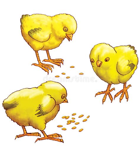 Three Yellow Chickens Stock Illustration Illustration Of Housekeeping