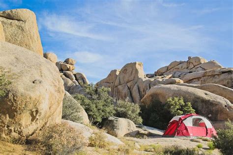 Joshua Tree Camping What You Need To Know Local Adventurer