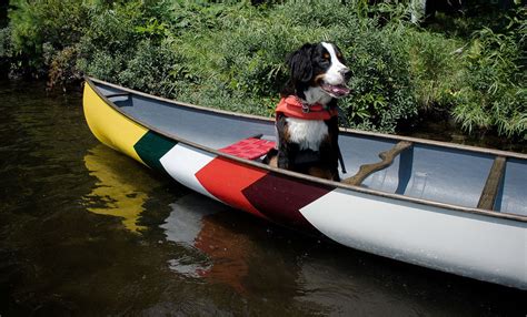 Abitibi And Co And Norquay Limited Edition Canoes Wood Canoe Canoe And