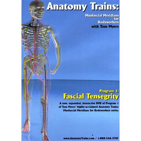 Anatomy Trains Vol 1 Fascial Tensegrity Dvd Ultimate Massage Solutions Belfast