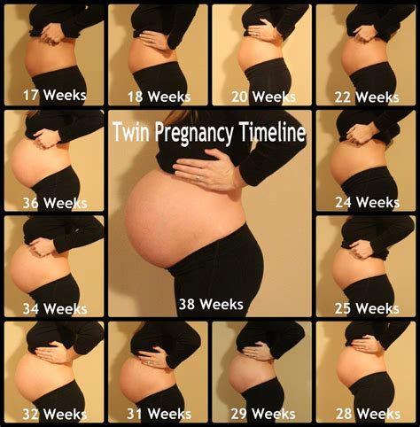 M S De Ideas Incre Bles Sobre L Nea De Tiempo Del Embarazo En Pinterest Pregnancy Months