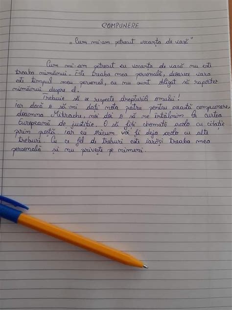 Cea mai tare compunere Ce a scris un elev despre cum și a petrecut vacanța de vară