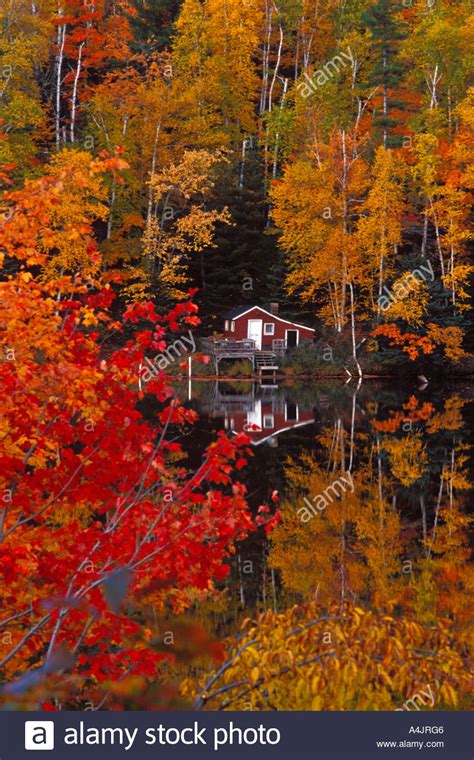 A Cabin Amongst Maples In Fall Color With Reflection On River In