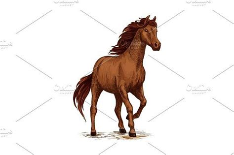 800 x 523 jpeg 69 кб. Running horse sketch with brown arabian stallion | Horse ...