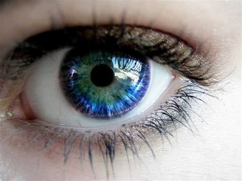 ¿cómo Se Obtienen Los Ojos De Color Azul O Verde Como Funciona Que