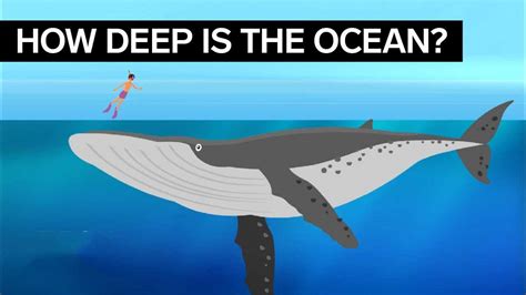 How Deep Does The Ocean Go
