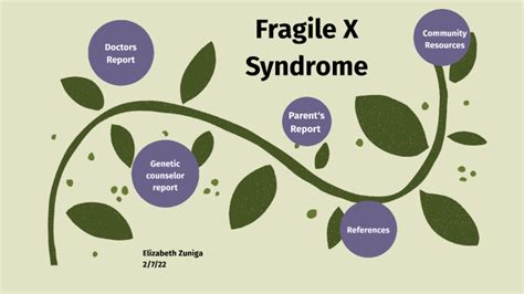 Fragile X Syndrome By Elizabeth Zuniga