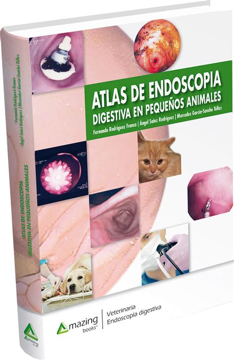Atlas De Endoscopia Digestiva En Pequeños Animales Amazing Books