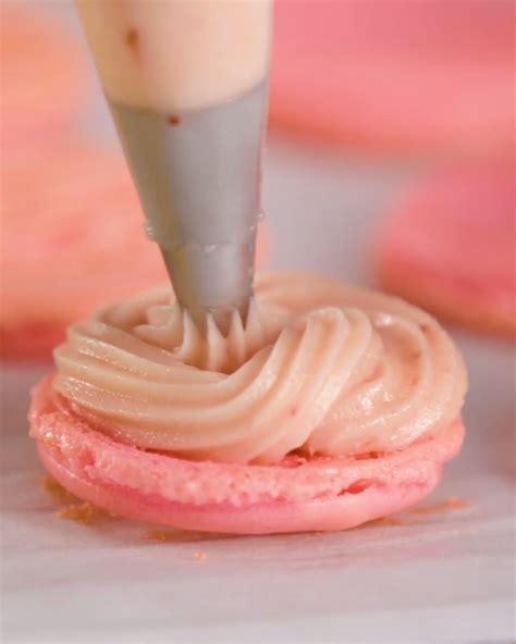 Free Printable Macaron Template And Piping Outline Pdf Artofit