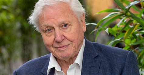 Sir David Attenborough To Voice New Netflix Series Our Planet Mirror