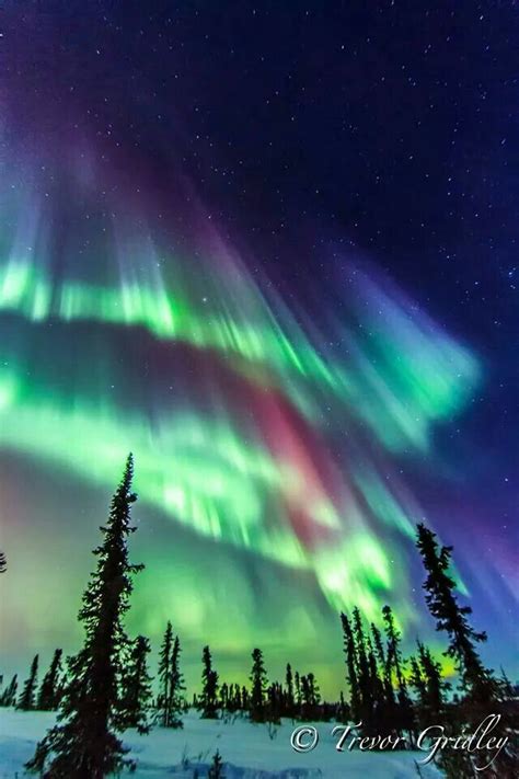 How to see the northern lights in iceland in 2020 (video). Beautiful (With images) | Northern lights, Landscape ...