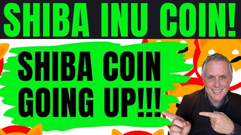 Shiba Inu Coin Massive Update Shiba Inu Coin Is Going Up Honest