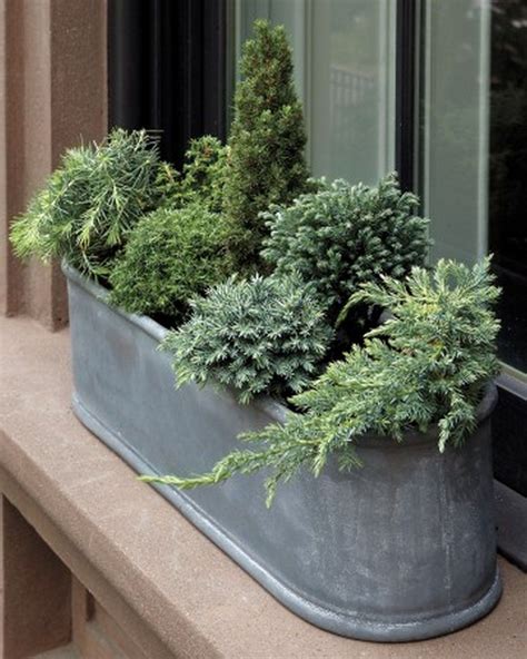 Beautiful Outdoor Winter Container Gardening Design Ideas 21