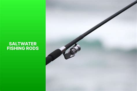 The Best Saltwater Fishing Rods For 2023